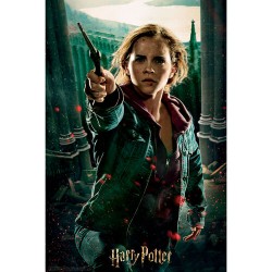 Puzzle Hermione Granger 3d...